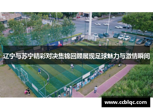 辽宁与苏宁精彩对决集锦回顾展现足球魅力与激情瞬间
