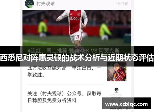 西悉尼对阵惠灵顿的战术分析与近期状态评估